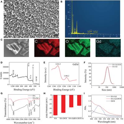 A novel vector for magnetic resonance imaging-guided chemo-photothermal therapy for cancer